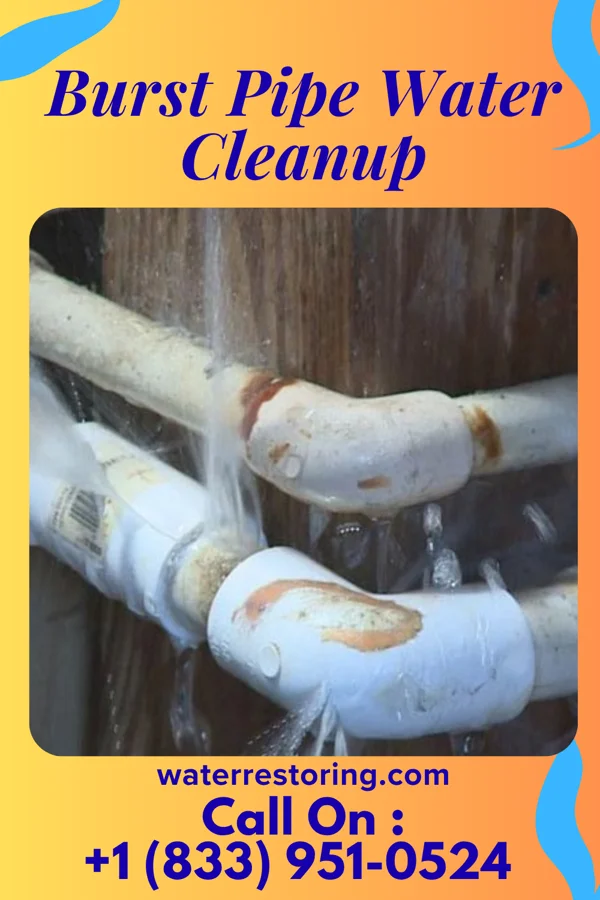 Burst Pipe Water Cleanup in Pekin, OH