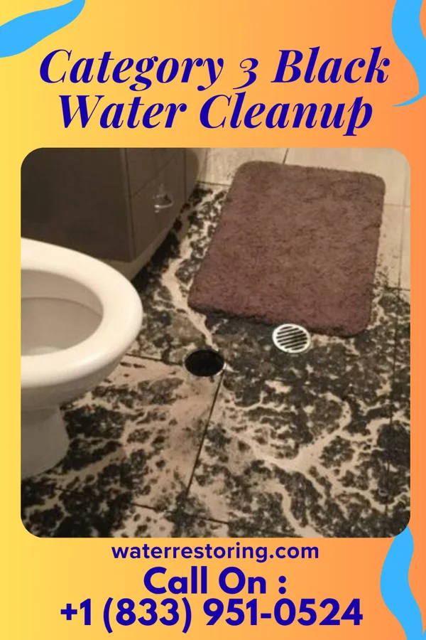 Category 3 Black Water Cleanup in Pekin, OH
